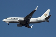South African Air Force Boeing 737-7ED(BBJ) (ZS-RSA) at  Waterkloof AFB, South Africa