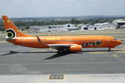 Mango Boeing 737-8BG (ZS-SJG) at  Lanseria International, South Africa
