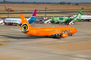 Mango Boeing 737-8BG (ZS-SJG) at  Johannesburg - O.R.Tambo International, South Africa