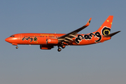 Mango Boeing 737-8BG (ZS-SJH) at  Johannesburg - O.R.Tambo International, South Africa