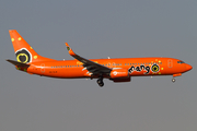 Mango Boeing 737-8BG (ZS-SJK) at  Johannesburg - O.R.Tambo International, South Africa