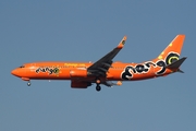 Mango Boeing 737-8BG (ZS-SJP) at  Johannesburg - O.R.Tambo International, South Africa