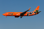 Mango Boeing 737-8BG (ZS-SJP) at  Johannesburg - O.R.Tambo International, South Africa