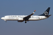 South African Airways Boeing 737-844 (ZS-SJV) at  Johannesburg - O.R.Tambo International, South Africa