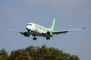 Kulula Boeing 737-8K2 (ZS-ZWO) at  Johannesburg - O.R.Tambo International, South Africa