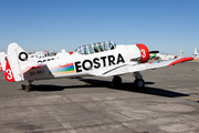 Eqstra Flying Lions North American AT-6C Texan (ZU-BEU) at  Rand, South Africa