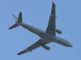 Royal Air Force Airbus A330-243MRTT(Voyager KC.2) (ZZ331) at  Belfast / Aldergrove - International, United Kingdom