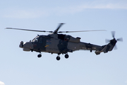 Royal Navy AgustaWestland AW159 Wildcat HMA2 (ZZ396) at  Luqa - Malta International, Malta