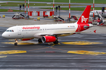 Aviation photo